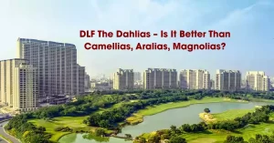 Read more about the article DLF The Dahlias Sector 54, Golf Course Road Gurgaon – Is It Better Than Camellias, Aralias, Magnolias?