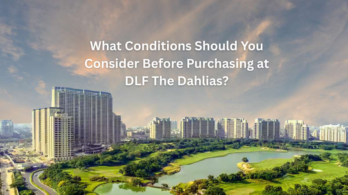Read more about the article What Conditions Should You Consider Before Purchasing at DLF The Dahlias?