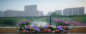 Read more about the article Who’s buying DLF The Dahlias in Gurgaon? The City’s Most Expansive Launch of 2025