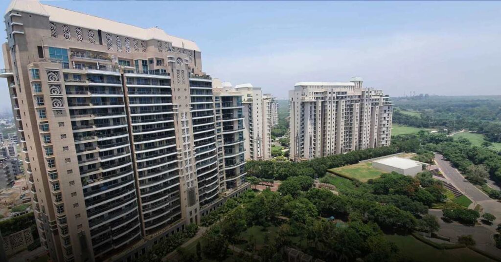 dlf magnolias